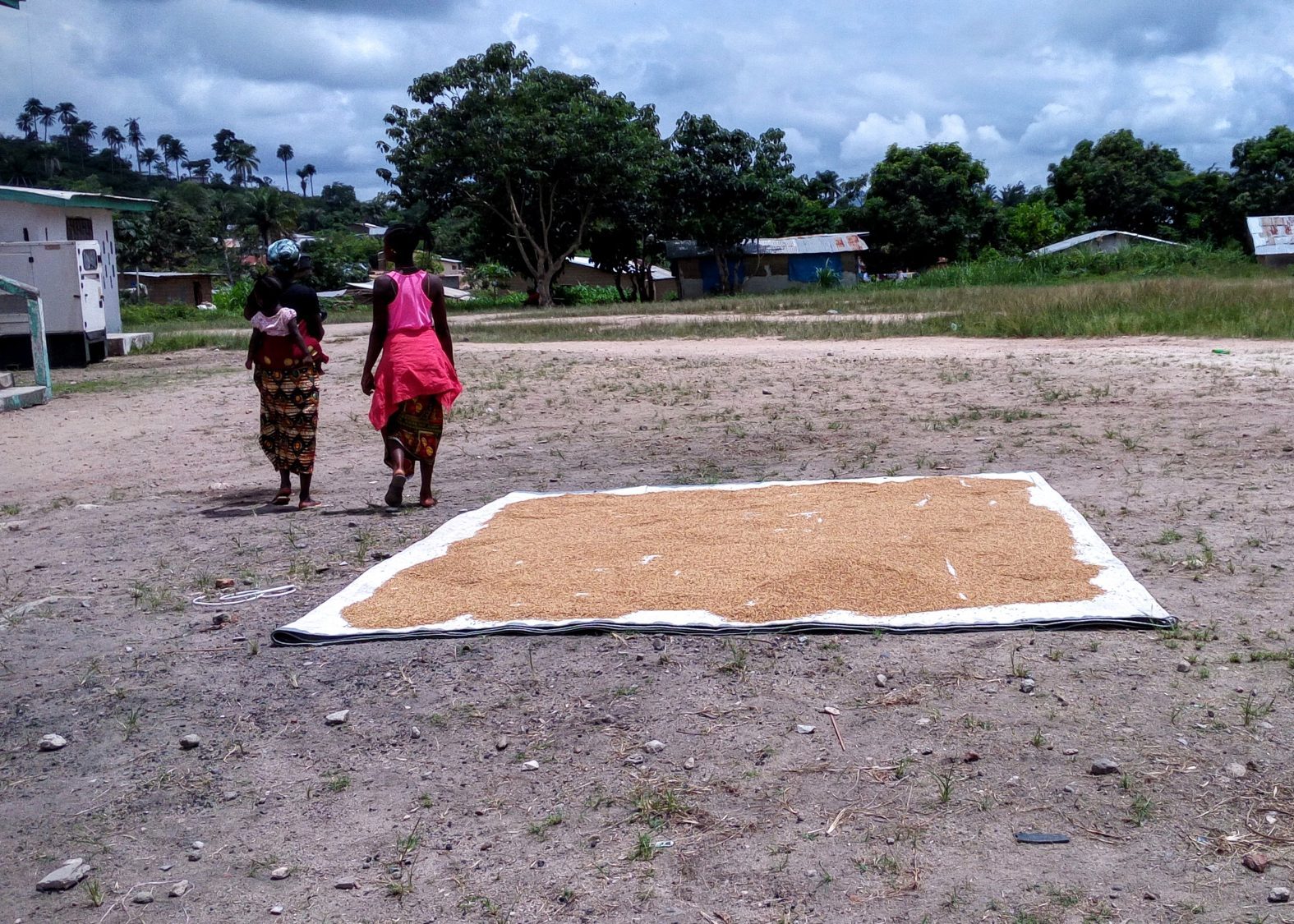 Liberia Agribusiness Development Activity CNFA
