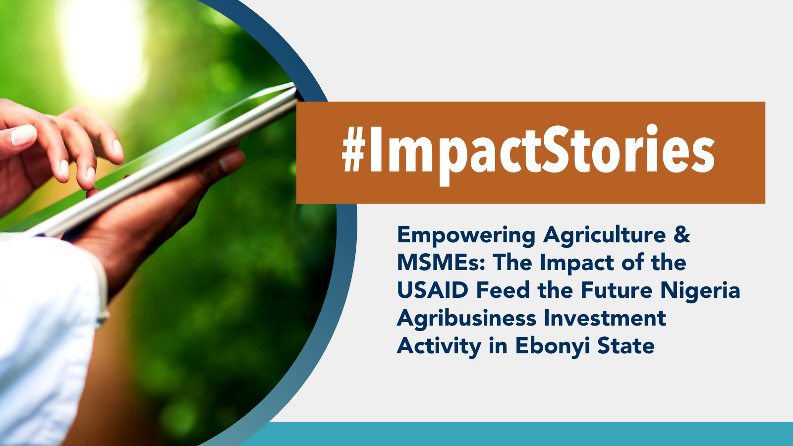 Empowering Agriculture and MSMEs The Impact of the USAID Feed the Future Nigeria Agribusiness